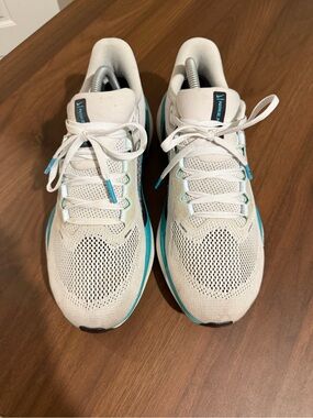 Nike Air Zoom Pegasus 41 'White Dusty Cactus'